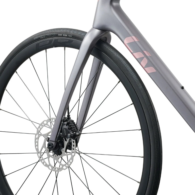Bicicleta Liv Langma Advanced 2-QOM Grey Satin Talla S