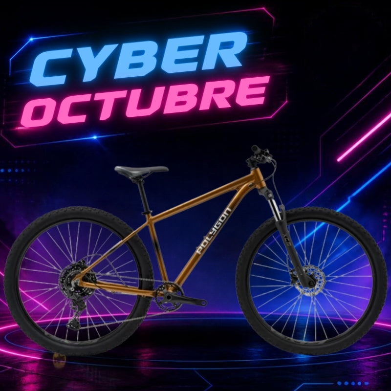 Bicicleta Polygon Aro 29 Cascade 5 Café Talla M